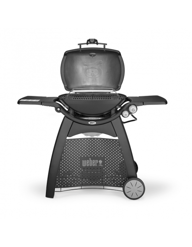 Barbacoa de gas Weber® Q 3200