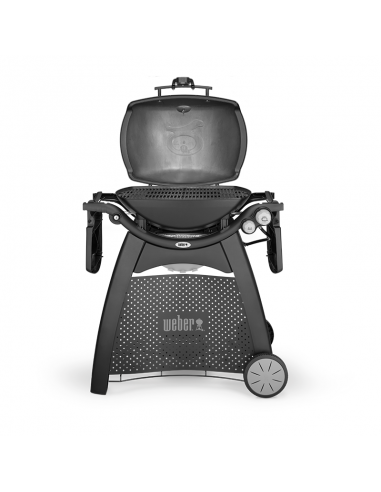 Barbacoa de gas Weber® Q 3200