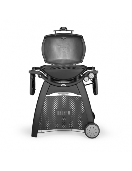 Barbacoa de gas Weber® Q 3200
