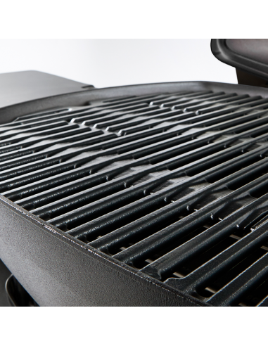 Barbacoa de gas Weber® Q 3200
