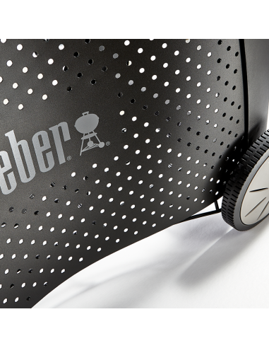 Barbacoa de gas Weber® Q 3200