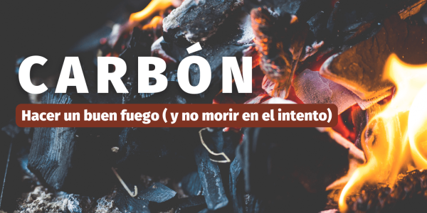 Tipos de carbón y cómo elegirlo