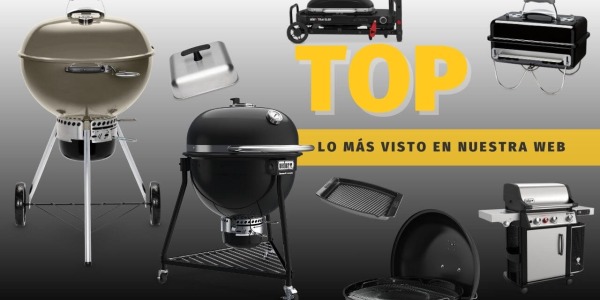 Conoce los productos más vistos en nuestra web en abril